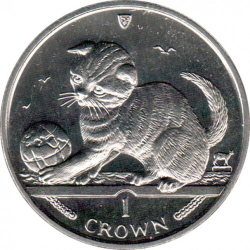 Шотландская вислоухая кошка