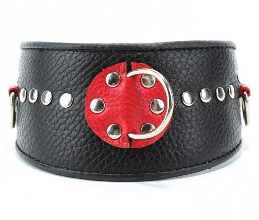 Черно-красный кожаный ошейник с металлическими клепками