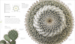 The Science of Plants: Inside their Secret World