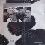 Jane's Addiction / Nothing's Shocking (LP)