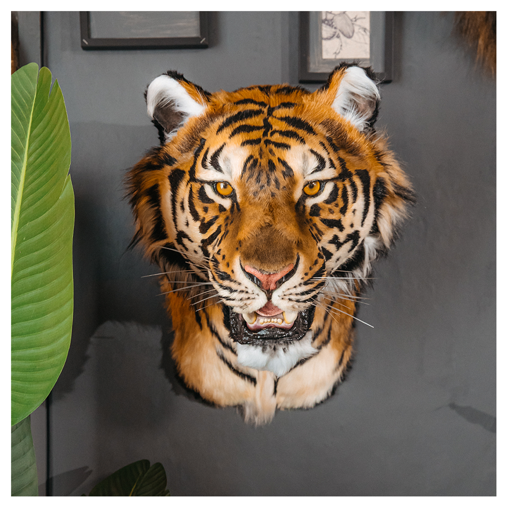 Реплика головы «Амурский тигр»