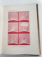 "Солнце. Астрономическая популярная монография". В.В. Стратонов. 1910 г. - книга в подарок