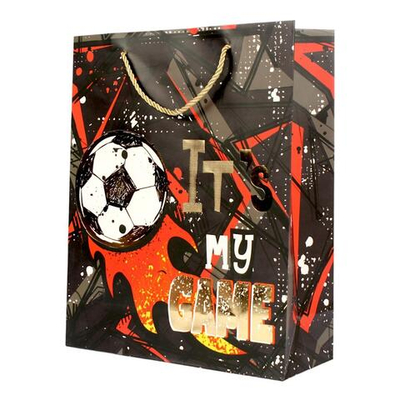 Пакет подарочный "Boys" 18*23*10 см, ручки-шнурок, обработка - фольга, 4 цвета микс