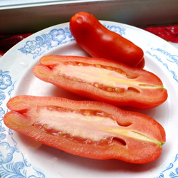 Помидоры - Аурия (Мужские)