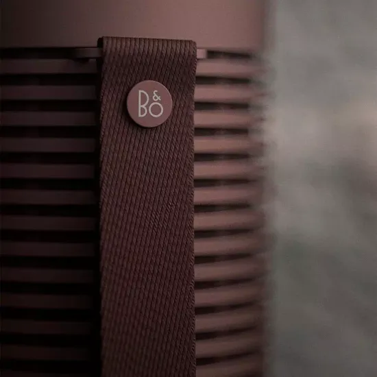 Портативная колонка Bang & Olufsen Beosound Explore Chestnut