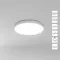 Потолочный светильник Arte Lamp FADO A7399PL-1WH