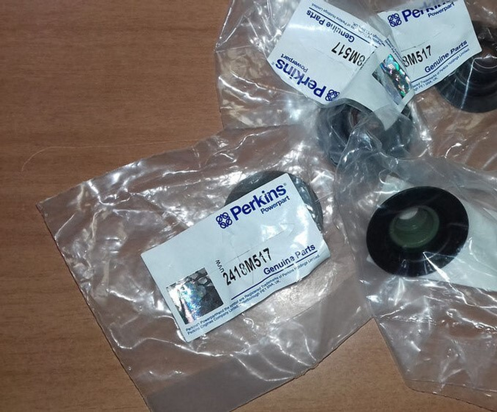 Колпачок маслосъемный / SEAL АРТ: 2418M517