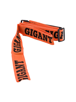 Инверторный сварочный аппарат (160 А; кабель 2.5+1.5 м; ПВ 70%) Gigant GWM-160