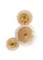 W5858P/3 PLATING BRASS (1) Настенный светильник NW