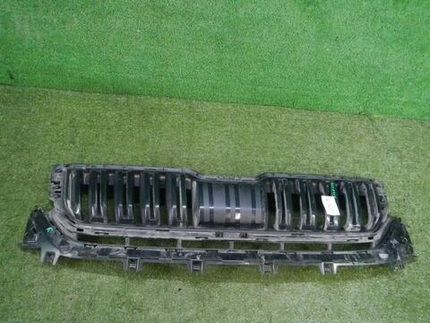 Решетка радиатора Skoda Kodiaq (2016-2022)