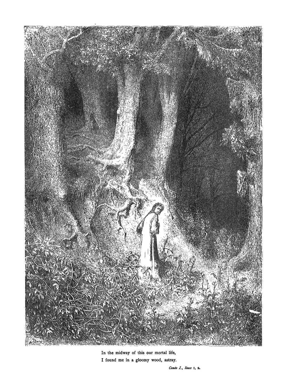 Dante's inferno | Dante Alighieri