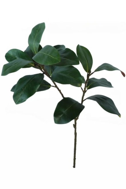 Ветка с листьями магнолии (2 ответвления)