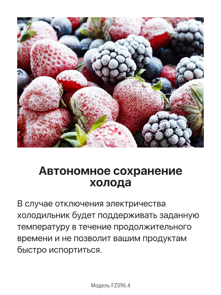 Морозильная камера Hansa FZ096.4