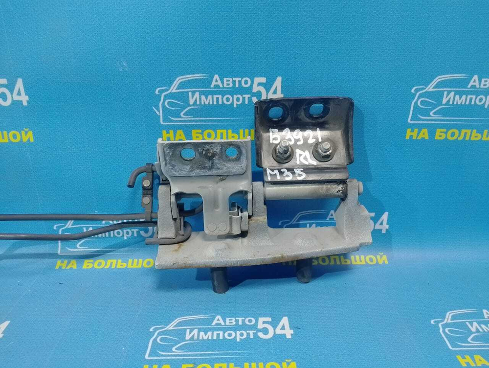Петля багажника NISSAN STAGEA 2001-2007