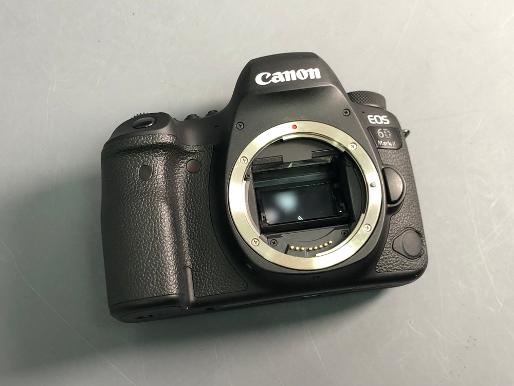 Canon 6D Mark II 55.000 кадров