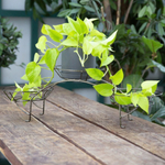 Подставка для цветов настольная "Дуга" на 3 горшка, металл М0000114