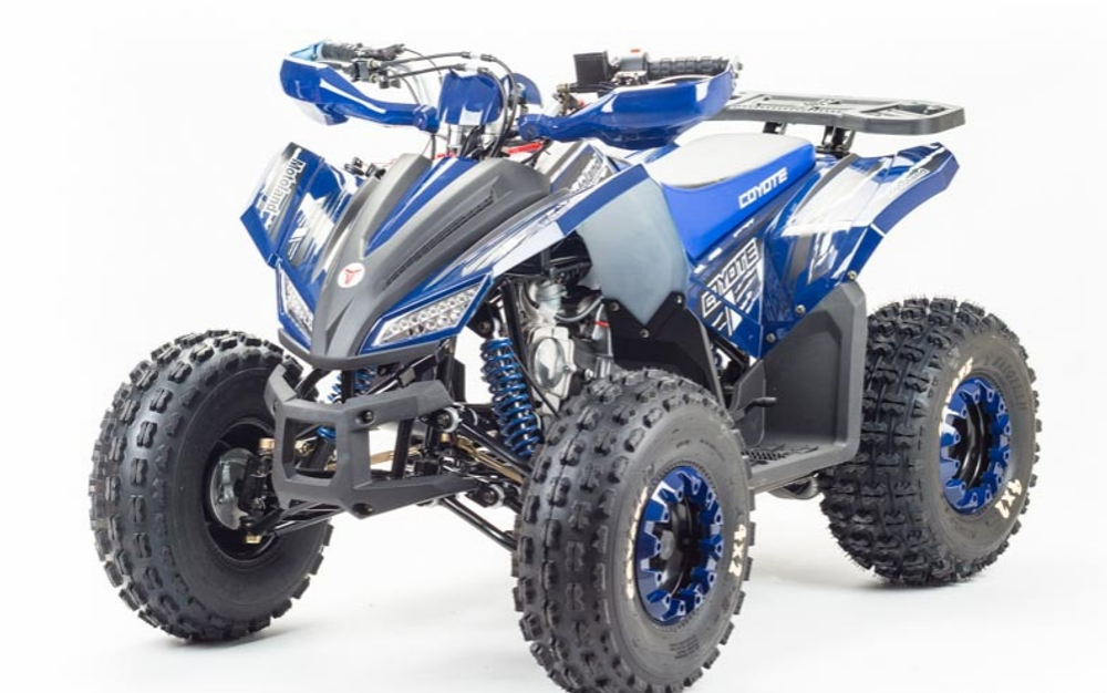 Квадроцикл MOTOLAND (МОТОЛЕНД) 125 COYOTE