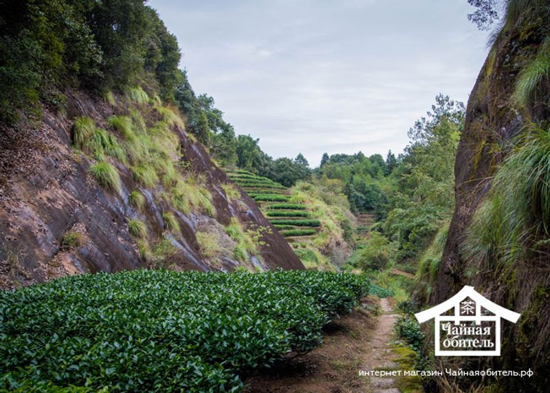 СЯО ЧЖУН из УИШАНЬ и не только