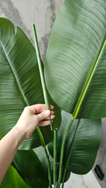 Стрелиция 180 см без кашпо / Арт 3082