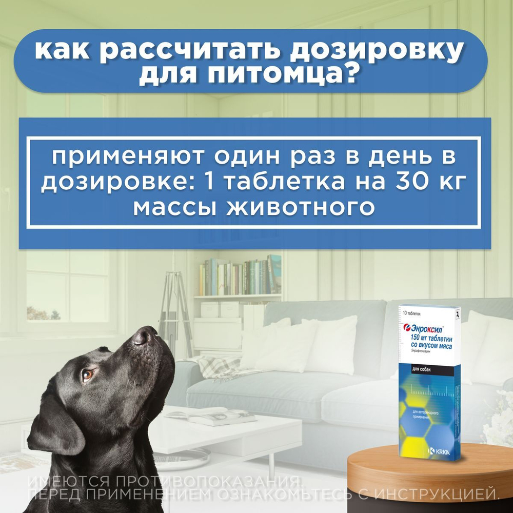 Таблетки для лечения инфекционных заболеваний у собак крупных пород со вкусом мяса Энроксил 150мг (KRKA), 10 таблеток Энрофлоксацин