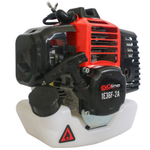 Двигатель бензиновый EVOline 1E36F-2A