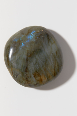 Лабрадор палмстоун M