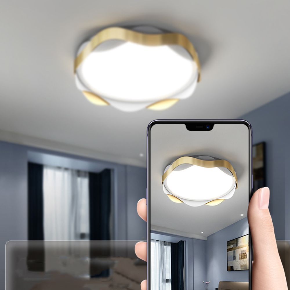 Потолочный Светильник Maaret D50 Black By Imperiumloft