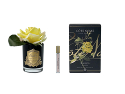 Диффузор Роза-диффузор FRENCH ROSE YELLOW черная Cote Noire Желтый