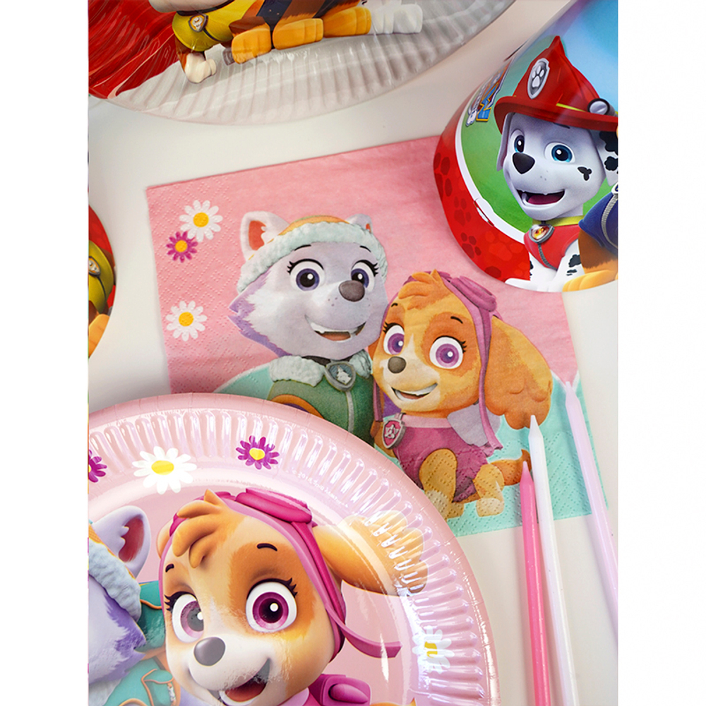 Тарелка Щенячий Патруль Эверест 20см8штР