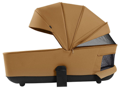 Коляска Carrello Vector 2025 CRL-6551 Nova Black Line с базой Isofix 3 в 1 Golden Beige