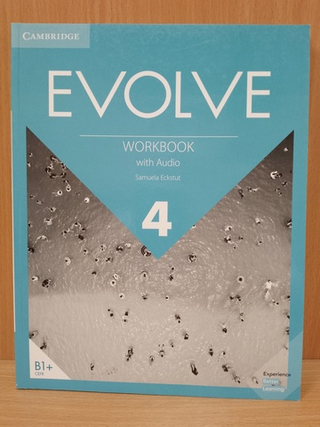 Evolve 4 Workbook With Audio