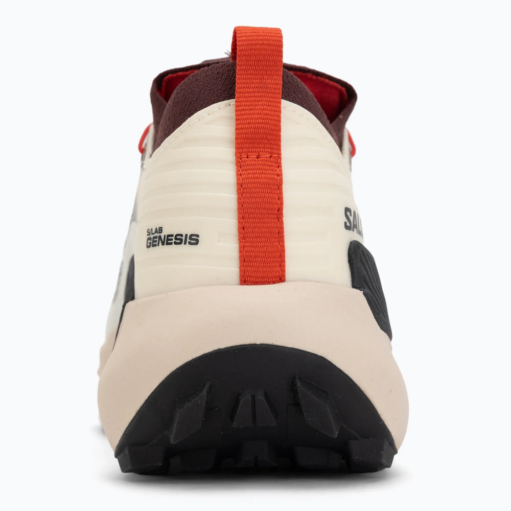 Кроссовки для бега Salomon S/LAB Genesis vanila ice/chocolate/black