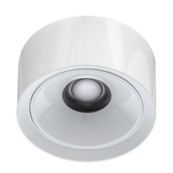 Потолочный светодиодный светильник Citilux Rover CL743060N