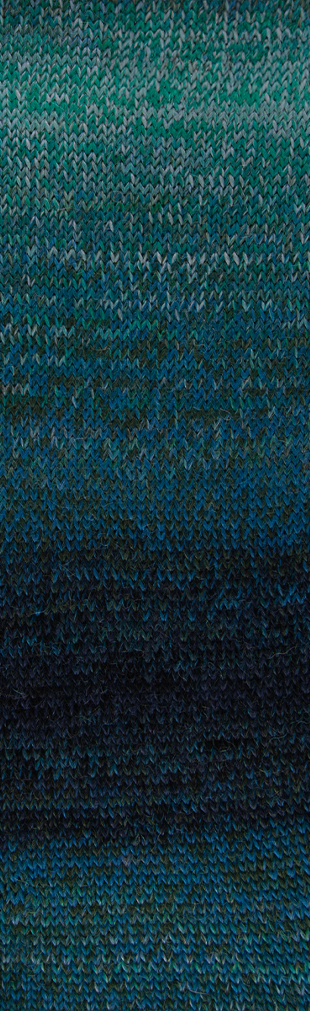 Пряжа Laines du Nord Andina Color (03)