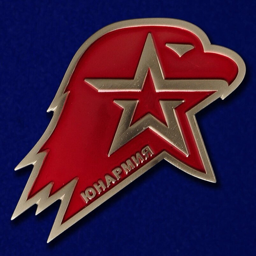 Знак юных патриотов