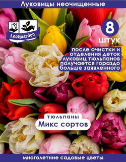 Тюльпан Луковицы неочищенные, Микс сортов, 8шт