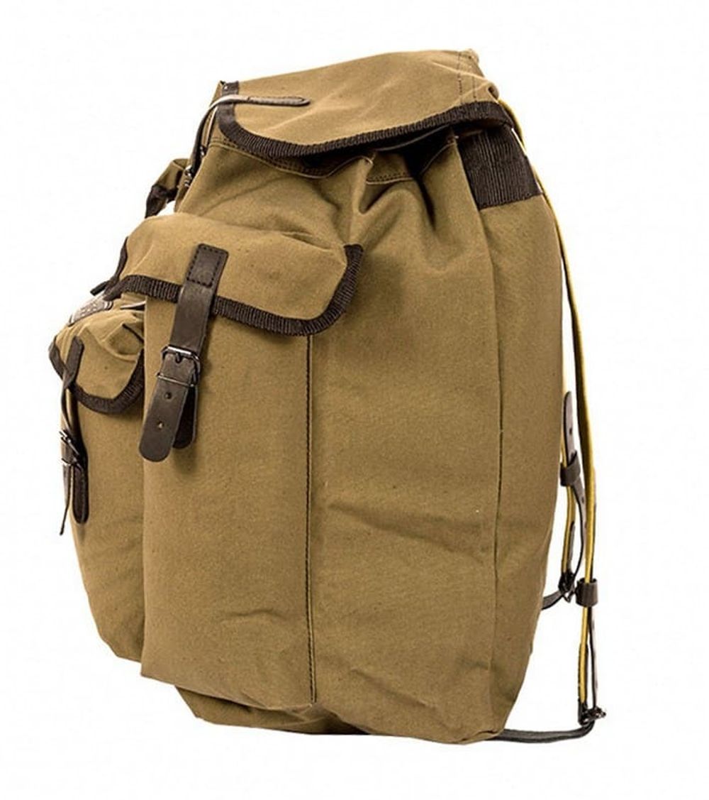 Рюкзак №2 авизент/кожа (х/б)