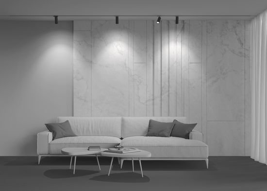 Трековый светильник Technical TR021-1-124K-Z-B