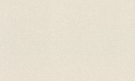 Rasch 1.06m*10m 983609 Novela Xl