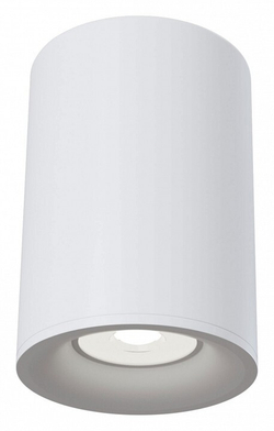 Накладной светильник Maytoni Technical C012CL-01W
