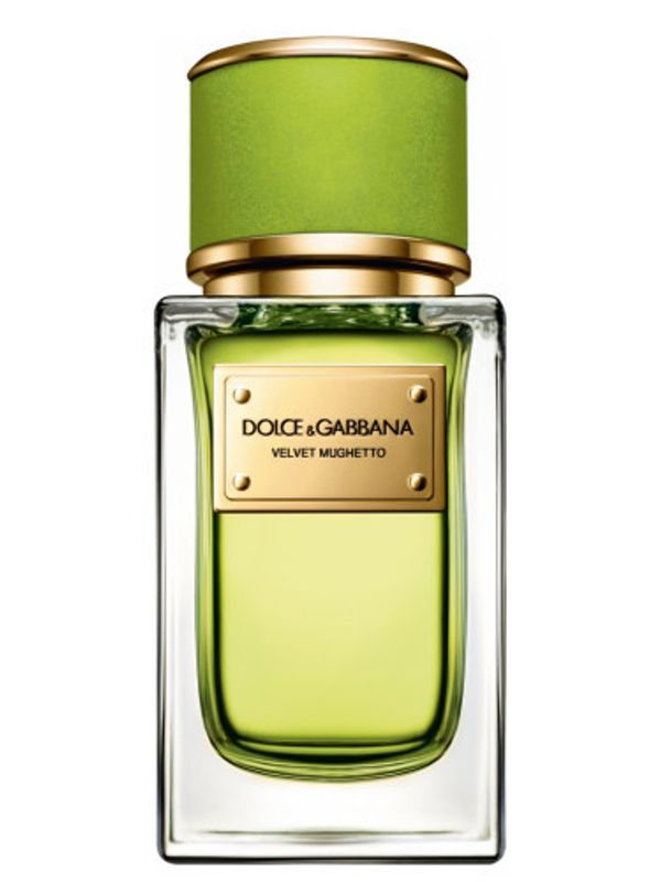 Dolce and Gabbana Velvet Mughetto