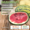 БЕДУИН F1 семена арбуза Bejo  Alexagro культура