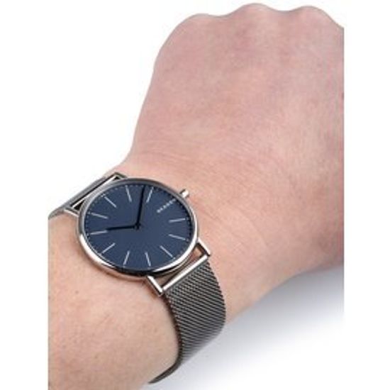 Мужские часы Skagen SKW6420