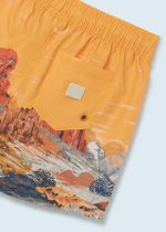 купальные шорты