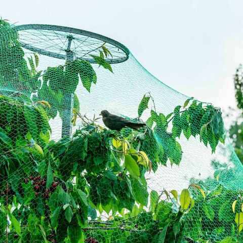 Сетка от птиц для защиты ягод и овощей 10 метров