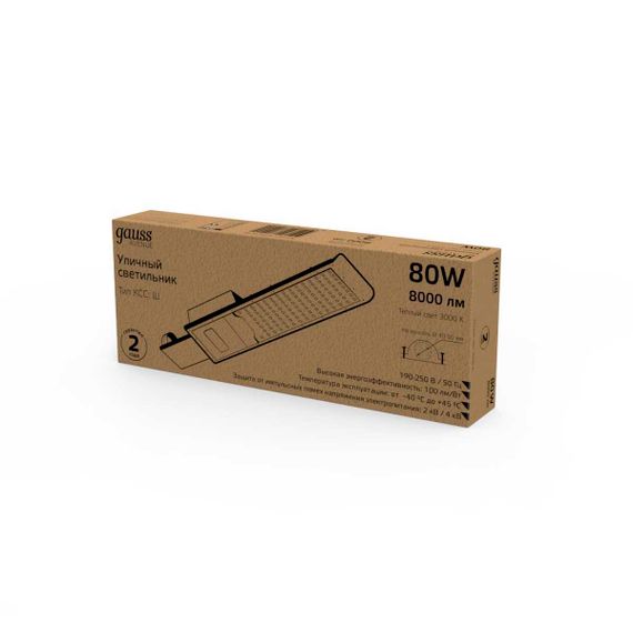 Уличный светодиодный светильник Gauss 629534180