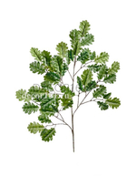 Ветка дуба с желудями