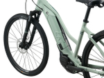 Электровелосипед Giant Rove E+ (2022)