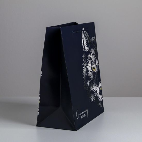 Пакет подарочный ламинированный, упаковка, «Сильному духом», ML 23×27×11.5 см