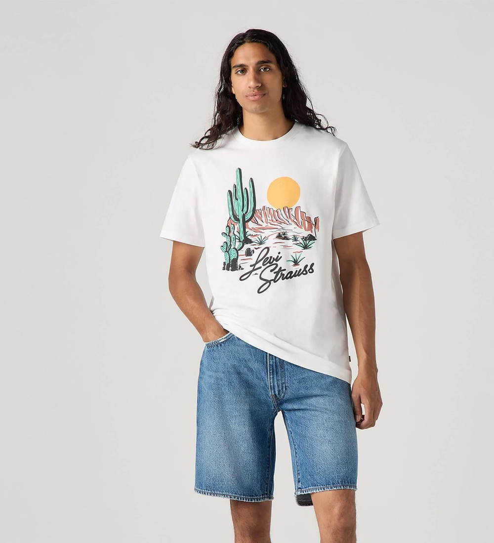 Футболка мужская LEVI'S GRAPHIC CREWNECK TEE